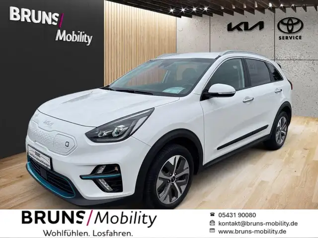 Kia e-Niro 150kW Vision 64 kWh Batterie