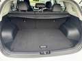 Kia e-Niro 150kW Vision 64 kWh Batterie Wit - thumbnail 13