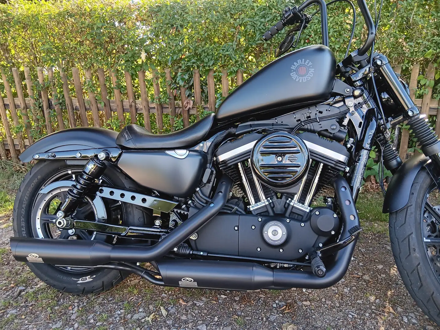 Harley-Davidson Iron 883 Noir - 1