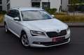 Skoda Superb Combi Green tec 190 PS,Navi,Alcantara Weiß - thumbnail 3