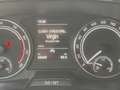 Skoda Fabia Fabia IV 2023 1.0 mpi evo Style 80cv NEOPATENTATI Grau - thumbnail 14