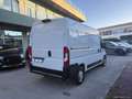 Fiat Ducato 35 2.3 MJT 130CV PM-TM Furgone Blanc - thumbnail 9