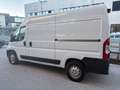 Fiat Ducato 35 2.3 MJT 130CV PM-TM Furgone Blanc - thumbnail 3