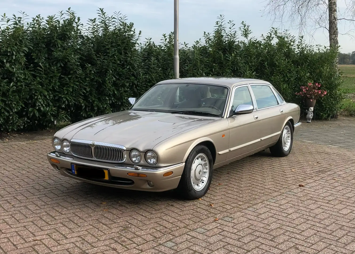 Daimler Daimler eight LWB - 1
