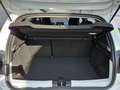 Dacia Sandero Stepway Extreme+ ECO-G 100   Navi Kamera Weiß - thumbnail 4