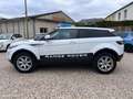 Land Rover Range Rover Evoque Land rr 2.2 td4 150ch Blanc - thumbnail 2