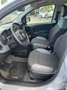 Fiat Panda Panda 1.0 hybrid Easy s Gris - thumbnail 5