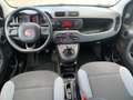 Fiat Panda Panda 1.0 hybrid Easy s Gris - thumbnail 7