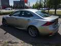 Lexus IS 300 F-Sport | Mark Levinson | Afneembare trekhaak Šedá - thumbnail 6