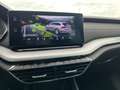 Skoda Octavia Combi 2,0 TDI Style DSG| NP €50.500 Grau - thumbnail 23