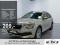 Skoda Kamiq Clever 1.0 TSI Navigation via Smartlink Grau - thumbnail 1