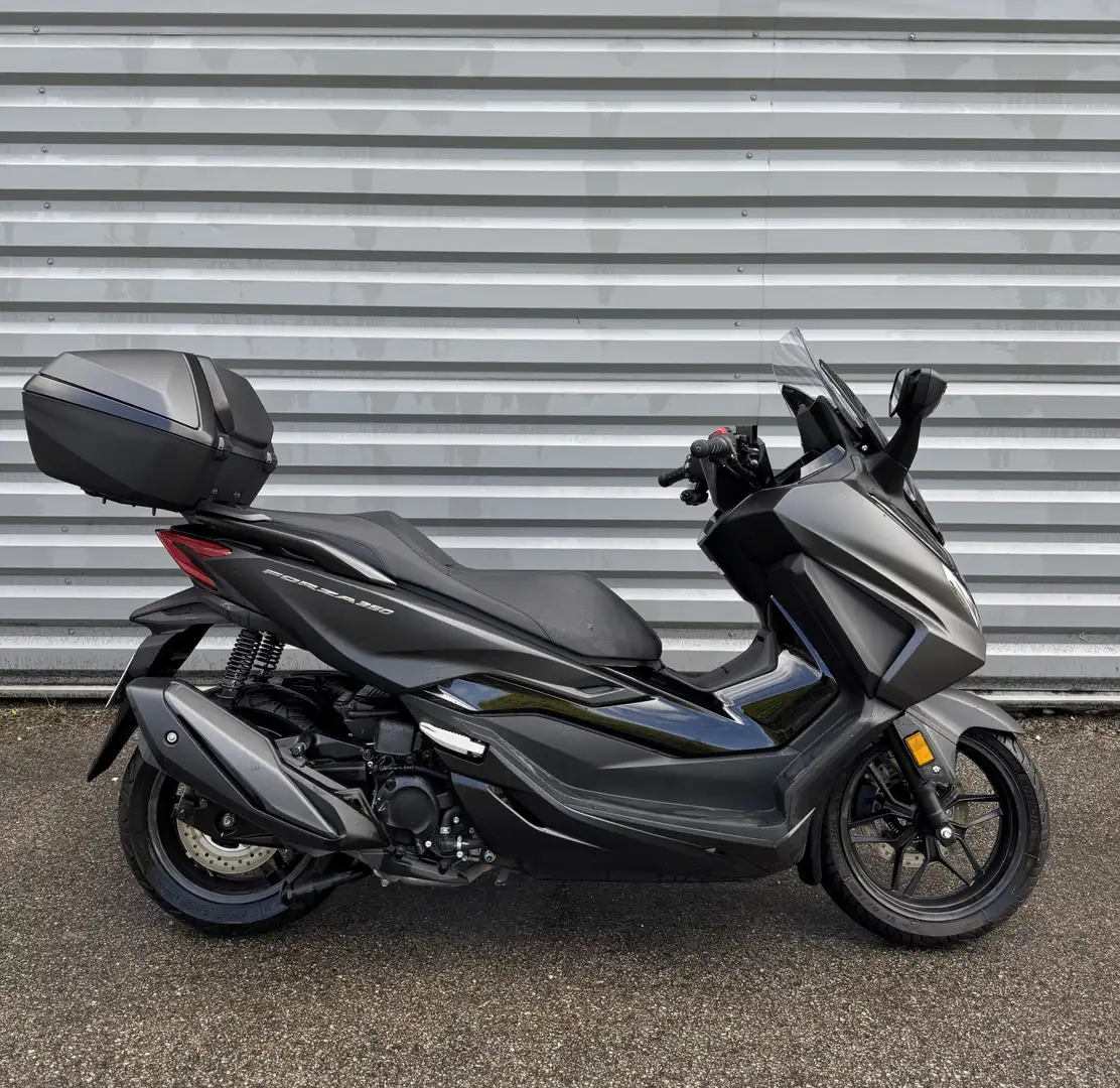 Honda Forza 350 - 2