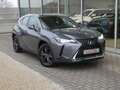 Lexus UX 250h HYBRID *LEDER+ZETELVERW* GPS PARKEERHULP DODEHOEK Gris - thumbnail 23