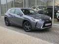 Lexus UX 250h HYBRID *LEDER+ZETELVERW* GPS PARKEERHULP DODEHOEK Gris - thumbnail 24