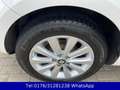 SEAT Ibiza Lim. Reference 1.2 !! Klima !! 4.Türig !! Blanc - thumbnail 19