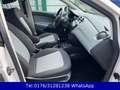 SEAT Ibiza Lim. Reference 1.2 !! Klima !! 4.Türig !! Blanc - thumbnail 13