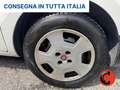 Fiat Fiorino 1.3 MJT 95C CARGO SXE6D-OTTIME CONDIZIONI- Bianco - thumbnail 27