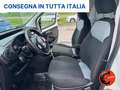 Fiat Fiorino 1.3 MJT 95C CARGO SXE6D-OTTIME CONDIZIONI- Bianco - thumbnail 20