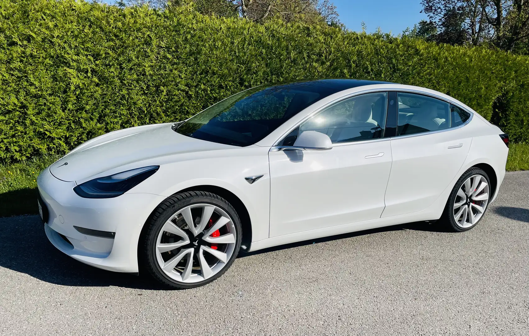Tesla Model 3 Performance Weiß - 1