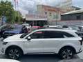 Kia Sorento 1.6 T-GDi PHEV Emotion Pack Luxury 4x4 Blanco - thumbnail 26