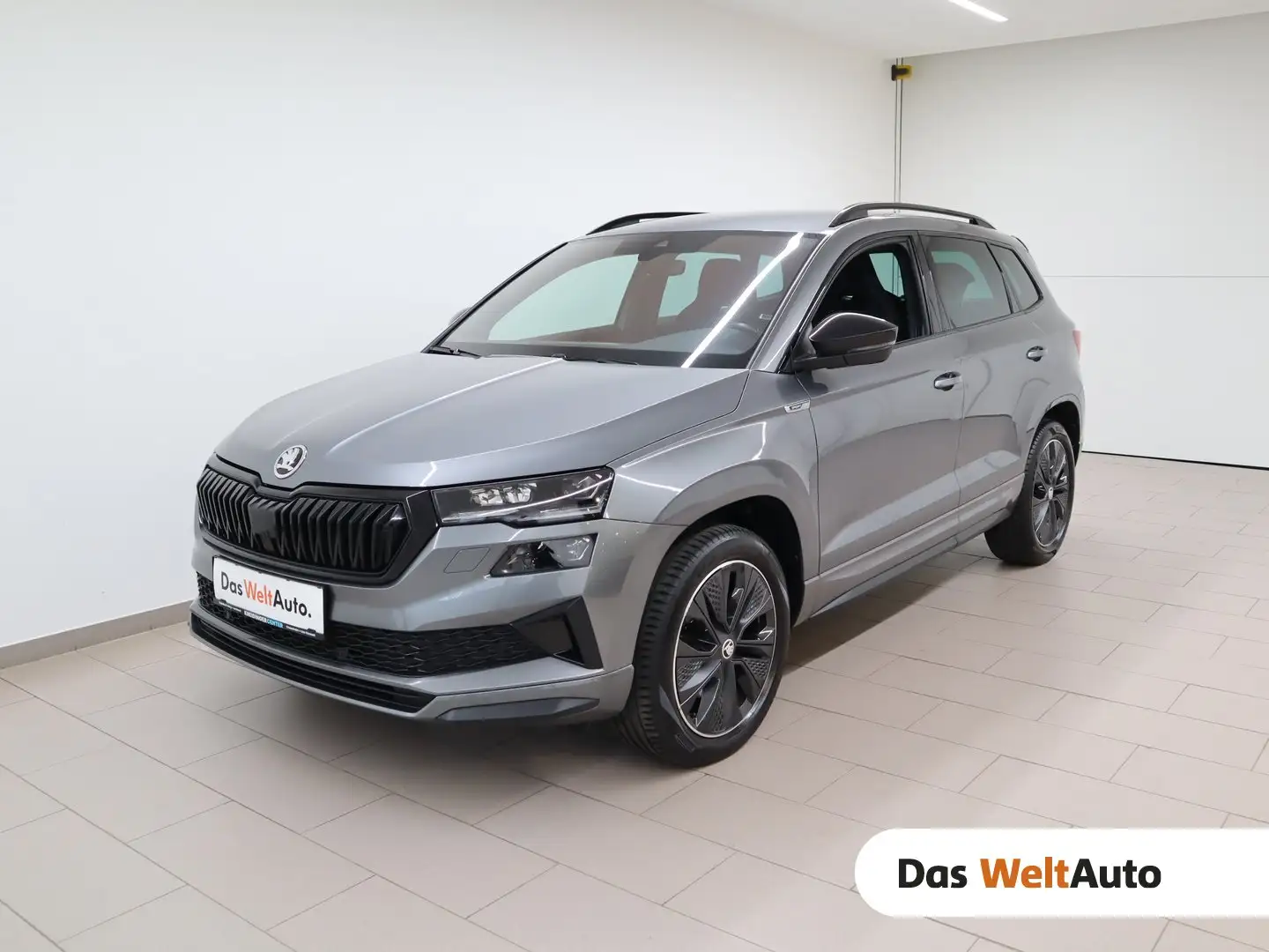 Skoda Karoq 4x4 SPORTLINE TDI DSG Gris - 1