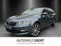 Skoda Octavia 2.0 TDI DSG Soleil/KAMERA/LED/ACC/AHK/ Gris - thumbnail 1