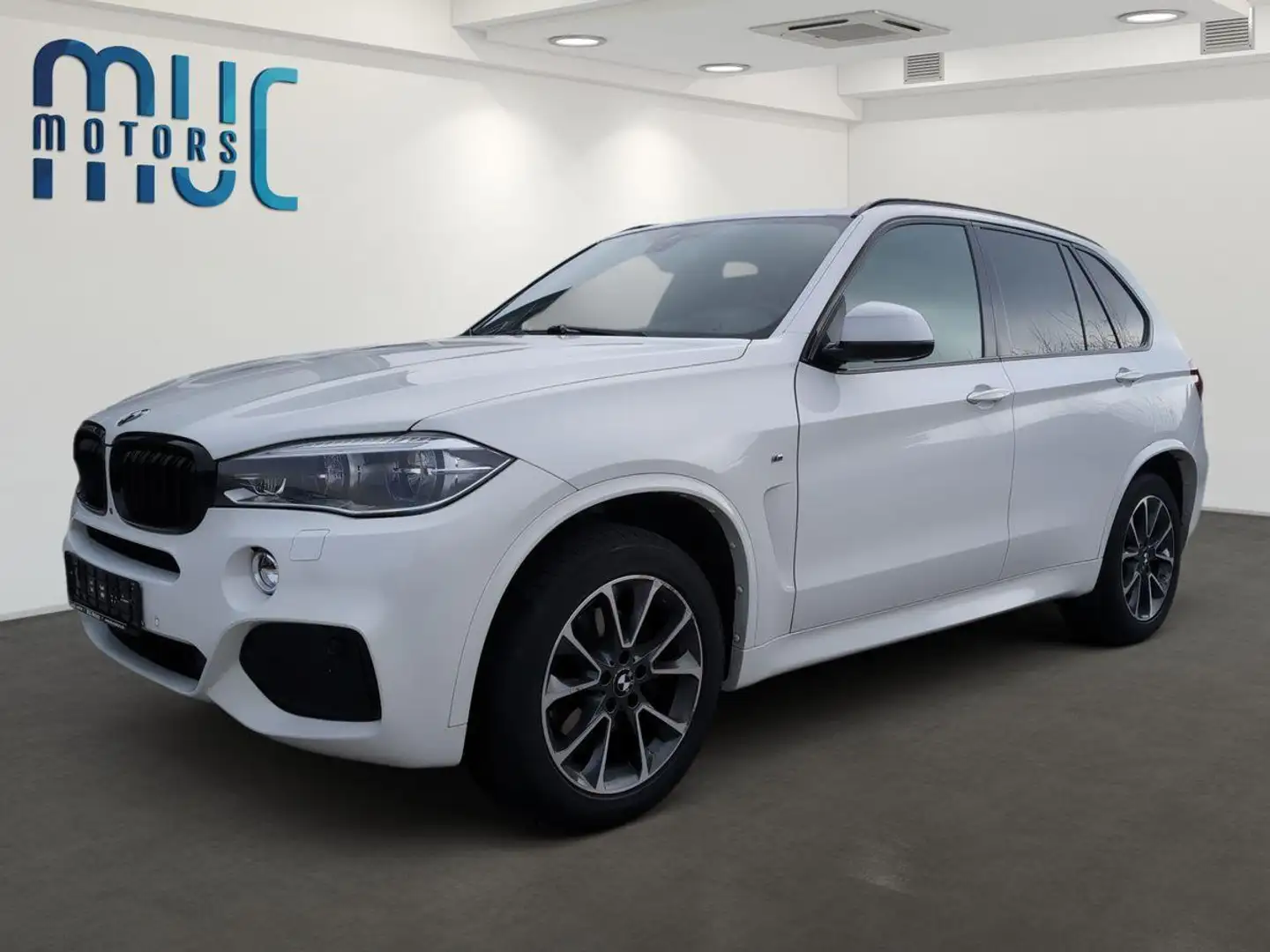 BMW X5 3.0 Turbodiesel xDrive M Sport~NaviProf Weiß - 1