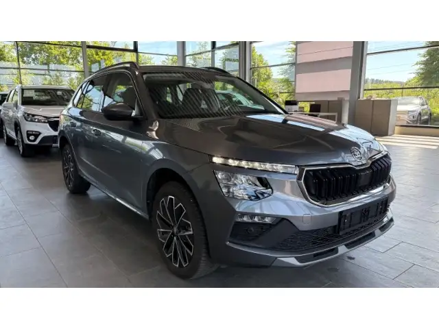 Skoda Kamiq view 2