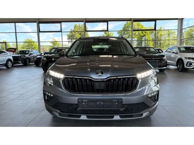 Skoda Kamiq view 7