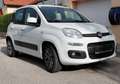 Fiat Panda Panda 1,2 70 Lounge Lounge Weiß - thumbnail 5