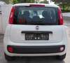 Fiat Panda Panda 1,2 70 Lounge Lounge Weiß - thumbnail 2