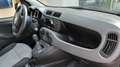 Fiat Panda Panda 1,2 70 Lounge Lounge Weiß - thumbnail 8