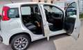 Fiat Panda Panda 1,2 70 Lounge Lounge Weiß - thumbnail 3