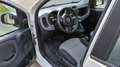 Fiat Panda Panda 1,2 70 Lounge Lounge Weiß - thumbnail 6