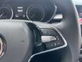 Skoda Fabia Fabia 1.0 mpi evo Style 80cv - PREZZO REALE Argento - thumbnail 13