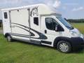 Peugeot EQUI-TREK Sonic 5. Vieh -/ Pferdetransporter Білий - thumbnail 8