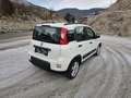 Fiat Panda 4x2 FireFly Hybrid 70 City Life - thumbnail 6