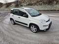 Fiat Panda 4x2 FireFly Hybrid 70 City Life - thumbnail 8