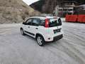 Fiat Panda 4x2 FireFly Hybrid 70 City Life - thumbnail 4