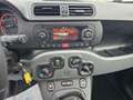 Fiat Panda 4x2 FireFly Hybrid 70 City Life - thumbnail 11