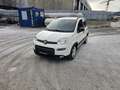 Fiat Panda 4x2 FireFly Hybrid 70 City Life - thumbnail 1