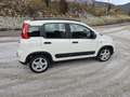 Fiat Panda 4x2 FireFly Hybrid 70 City Life - thumbnail 7