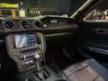 Ford Mustang Convertible 5.0 Ti-VCT GT Aut. Gris - thumbnail 15