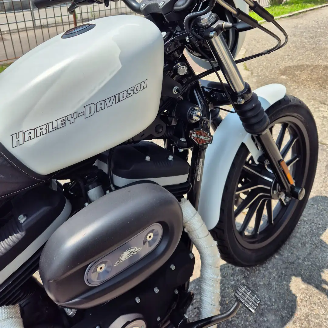 Harley-Davidson Sportster 883 Iron Bílá - 1