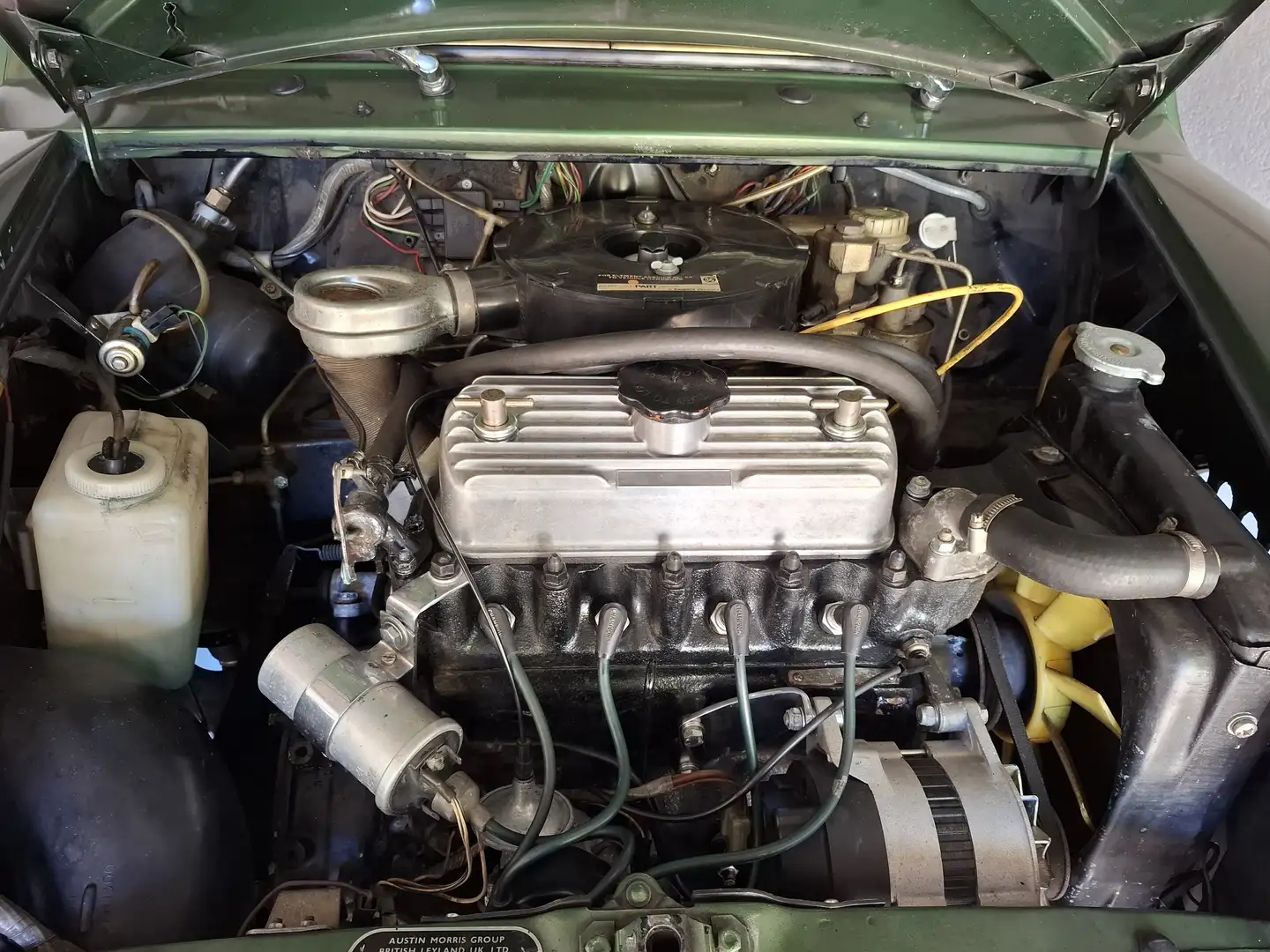 Austin Mini MK2 Verde - 2