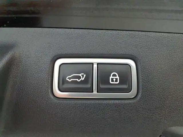 Kia Sorento view 11