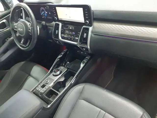 Kia Sorento view 14