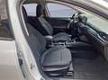 Ford Focus 1.0 EcoBoost Hybrid 125 CV 5p. Active Bianco - thumbnail 13