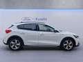 Ford Focus 1.0 EcoBoost Hybrid 125 CV 5p. Active Bianco - thumbnail 8