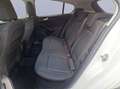 Ford Focus 1.0 EcoBoost Hybrid 125 CV 5p. Active Bianco - thumbnail 14